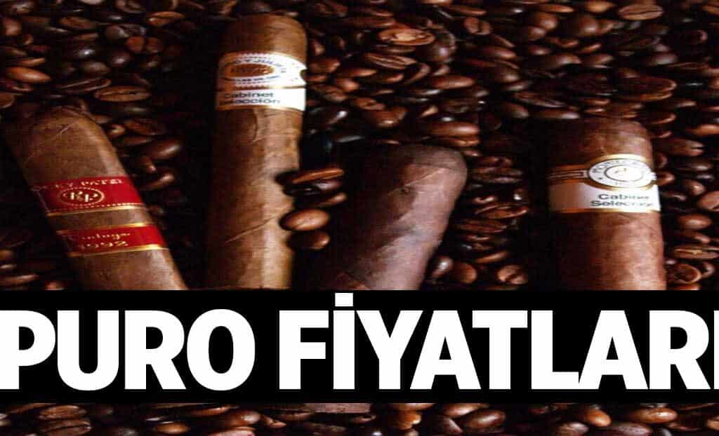Puro Fiyatlari 1024x622Evv.jpg