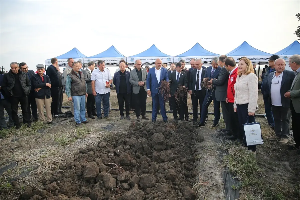 edirne kirmizisinin hasadi yapildi 4slUIOrD.jpg